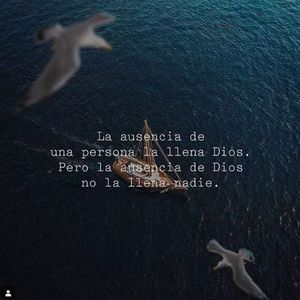 Meet your Posher, Miryam